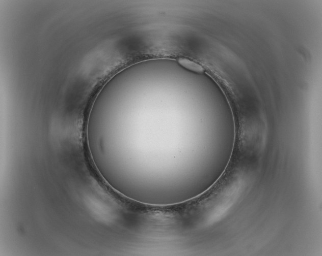 X0000113020585200909101839