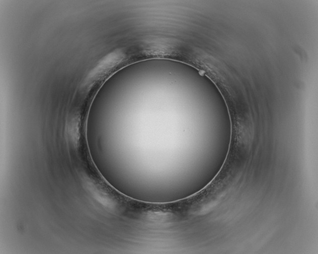 X0000113020586200909101839