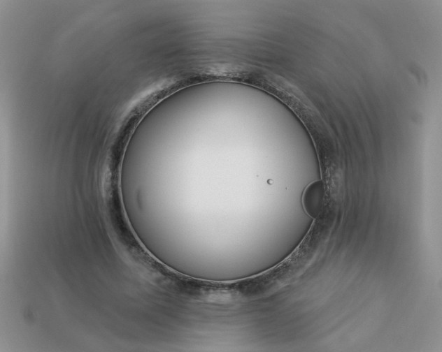 X0000113020587200909101839