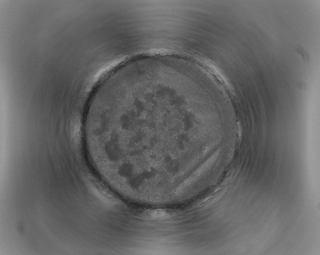 X0000113020588200909101839