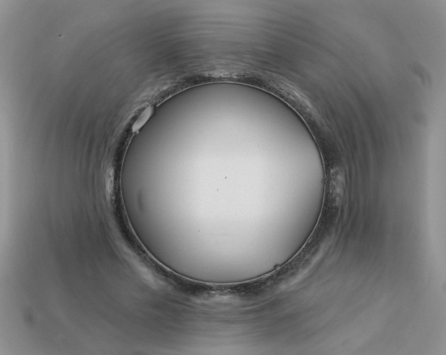 X0000113020589200909101839
