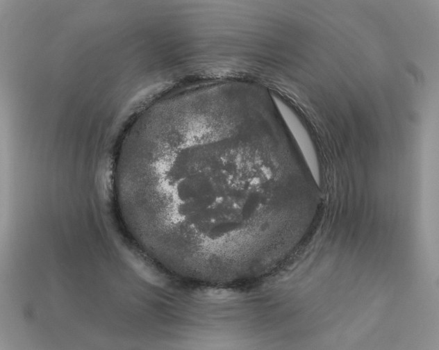 X0000113020590200909101839