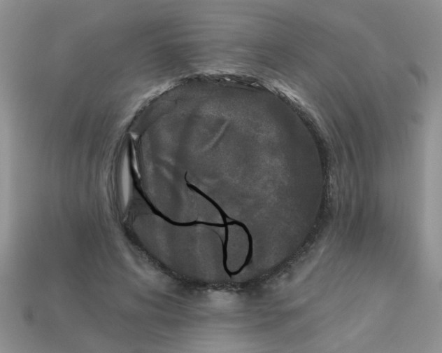 X0000113020592200909101839