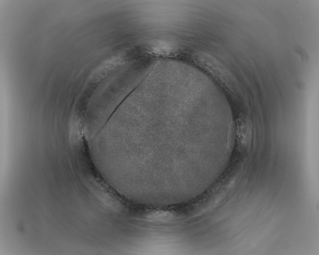X0000113020593200909101839
