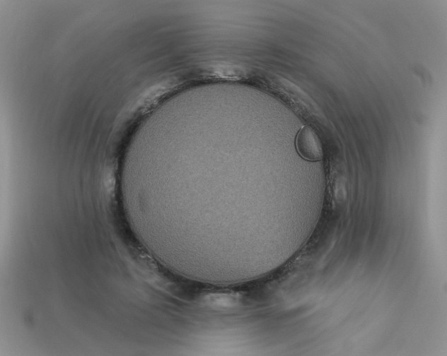 X0000113020595200909101839