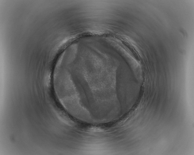 X0000113020596200909101839