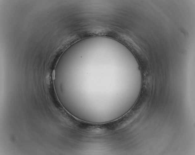 X0000113020597200909101839
