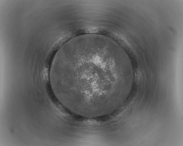 X0000113020598200909101839