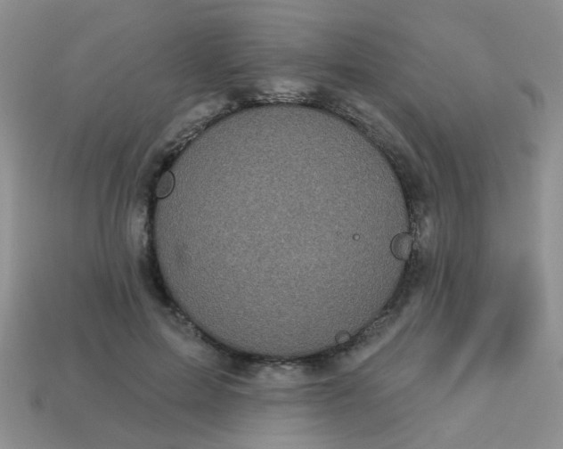 X0000113020599200909101839