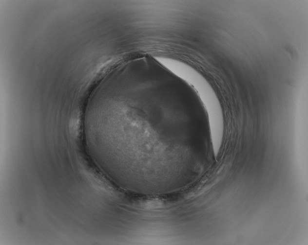 X0000113020600200909101839