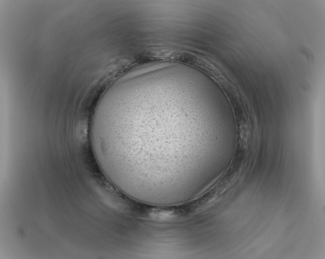 X0000113020602200909101839