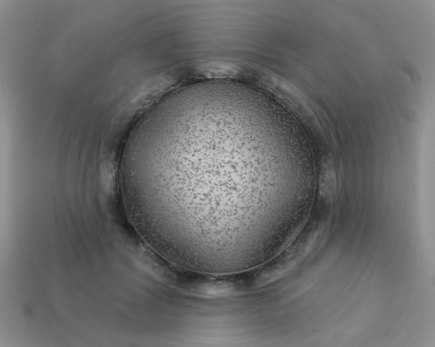 X0000113020604200909101839