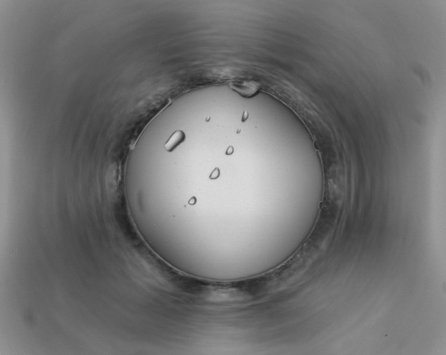 X0000113020605200909101839