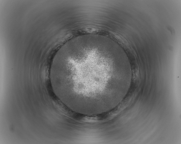 X0000113020606200909101839