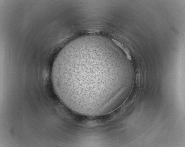 X0000113020608200909101839