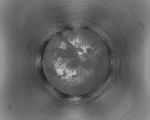 X0000113020610200909101839