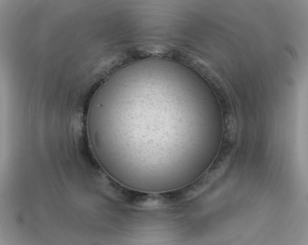 X0000113020612200909101839