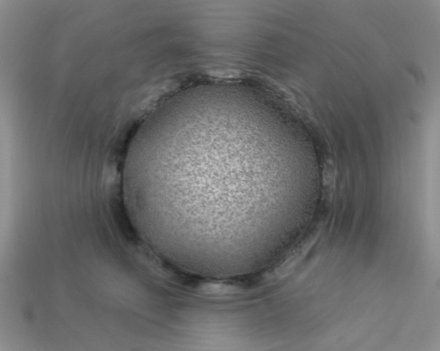 X0000113020614200909101839