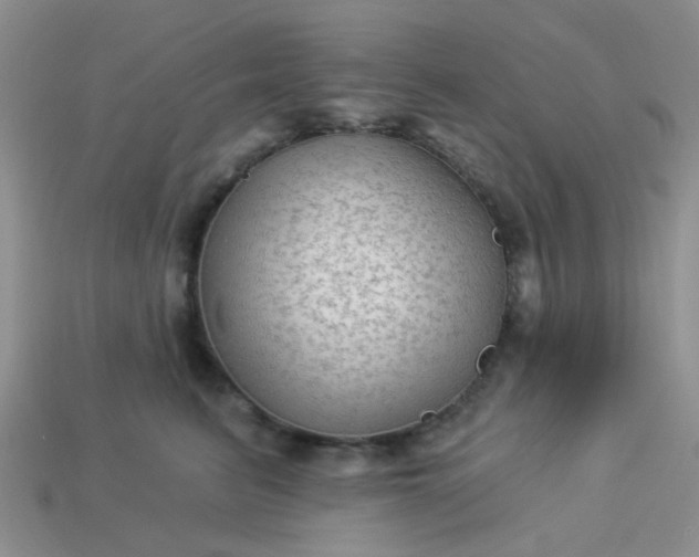 X0000113020615200909101839