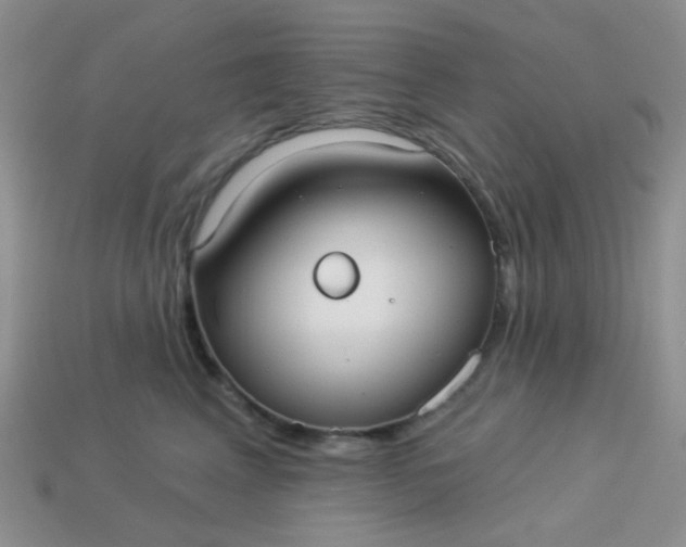 X0000113020617200909101839