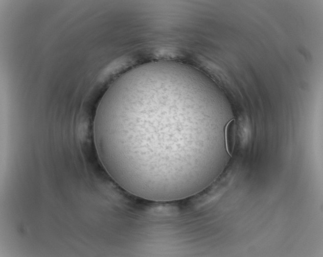 X0000113020619200909101839