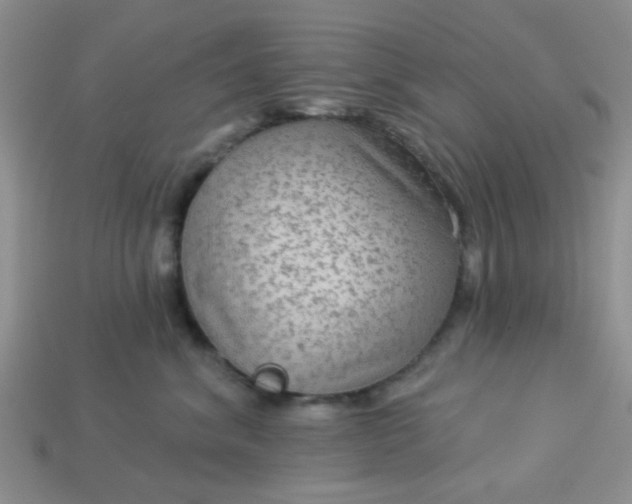 X0000113020620200909101839
