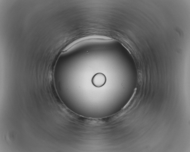 X0000113020621200909101839