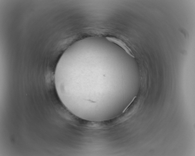 X0000113020624200909101839