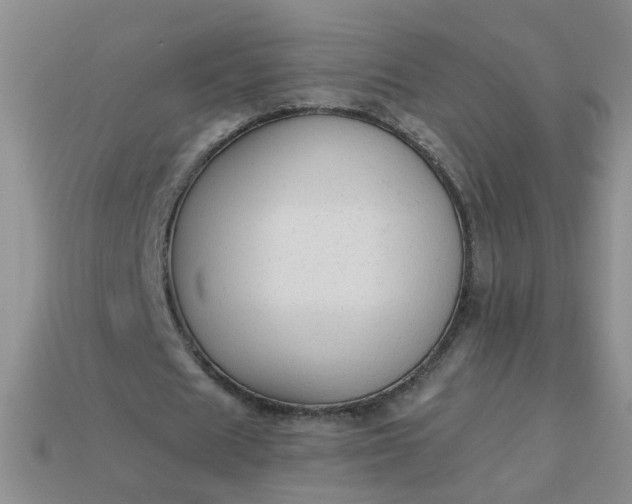 X0000113020625200909101838