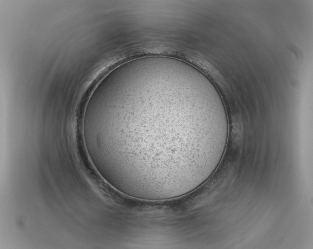 X0000113020626200909101838