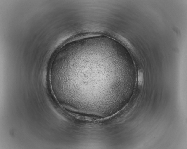 X0000113020627200909101838