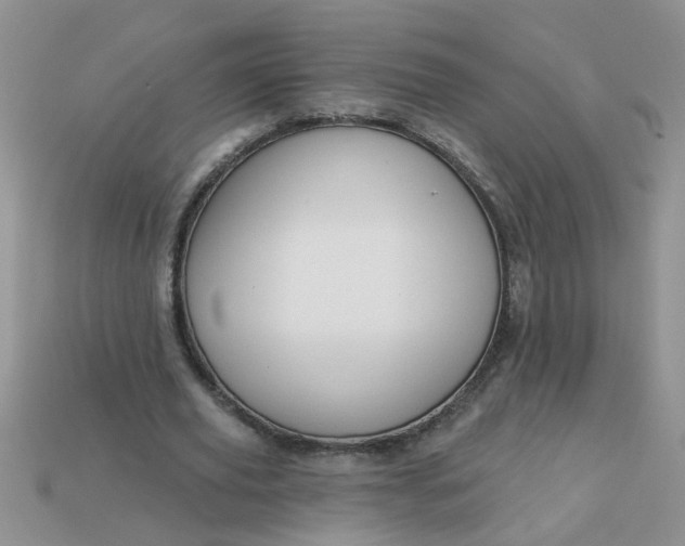 X0000113020629200909101838