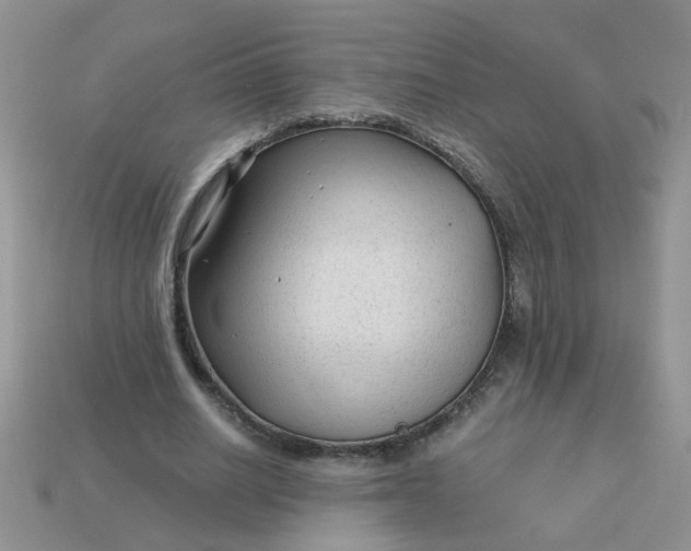 X0000113020630200909101838