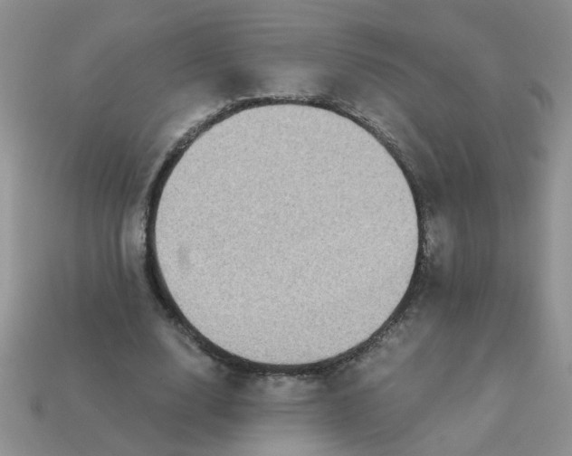 X0000113020632200909101838