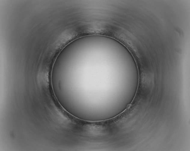 X0000113020633200909101838