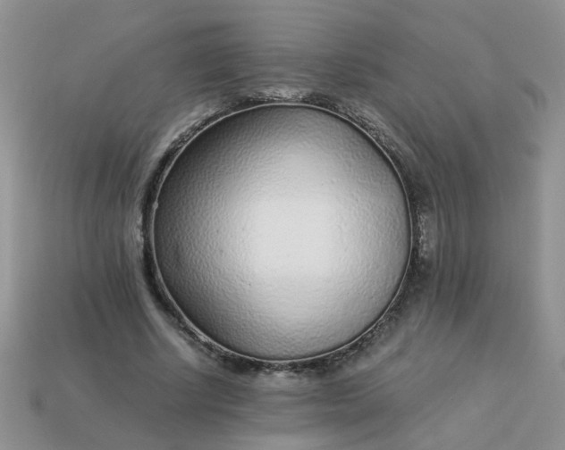 X0000113020634200909101838