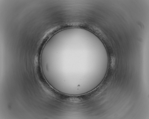 X0000113020636200909101838