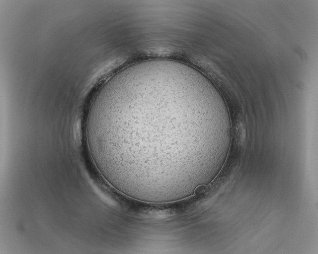 X0000113020638200909101838