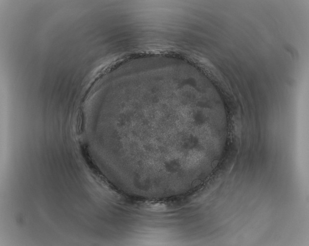 X0000113020640200909101838