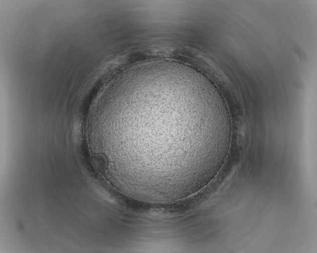 X0000113020641200909101838