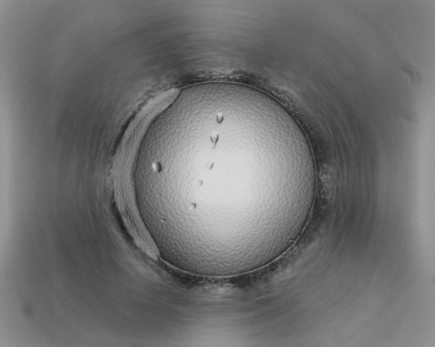 X0000113020642200909101838