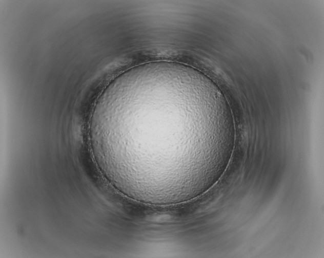 X0000113020643200909101838