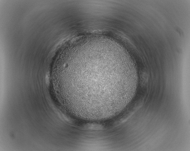 X0000113020644200909101838