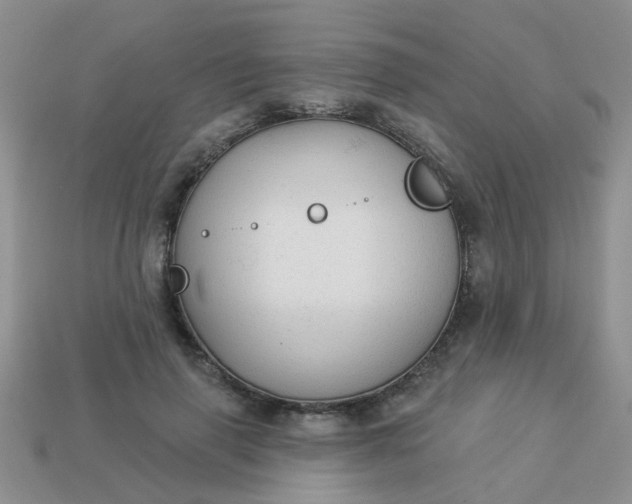 X0000113020645200909101838