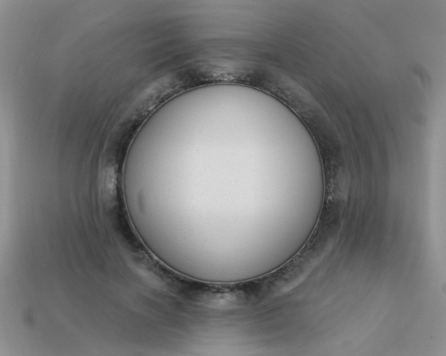 X0000113020646200909101838