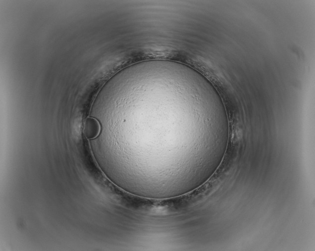 X0000113020647200909101838