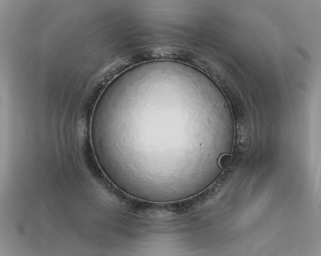 X0000113020648200909101838