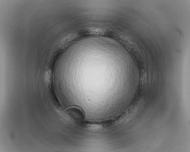X0000113020649200909101838