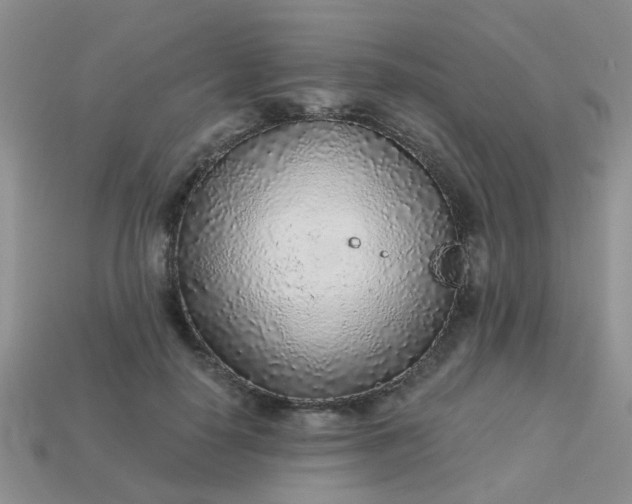 X0000113020650200909101838
