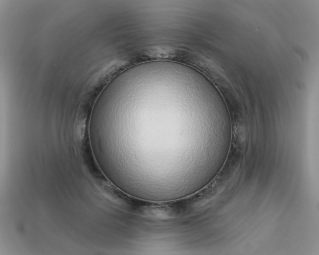 X0000113020652200909101838